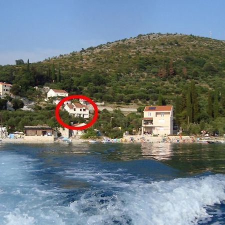 Apartments By The Sea Sladjenovici, Dubrovnik - 11531 Slano Eksteriør bilde
