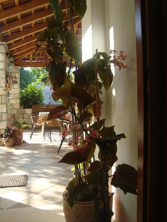 Apartments By The Sea Sladjenovici, Dubrovnik - 11531 Slano Eksteriør bilde